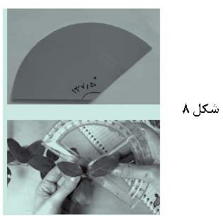 مستطیل طلایی، زاویه طلایی و مثلث طلایی