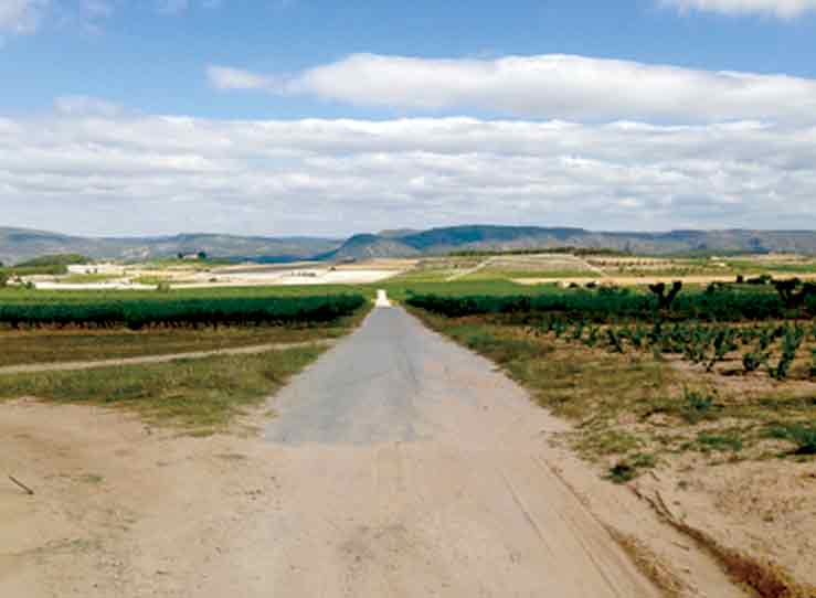 شکل ۴: رسوبات نهشته شده در امتداد راه ارتباطی به دلیل فرسایش خاک توسط آب در اطراف انگورها، مویسنت، استان والنسیا (اسپانیا)