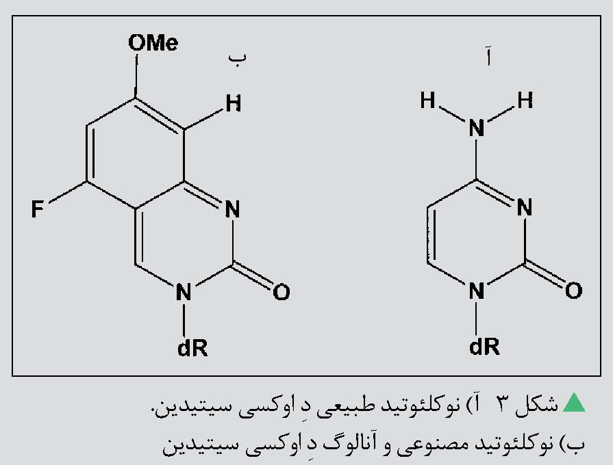 پیوند هیدروژنی
