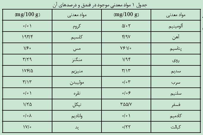 مواد معدنی فندق