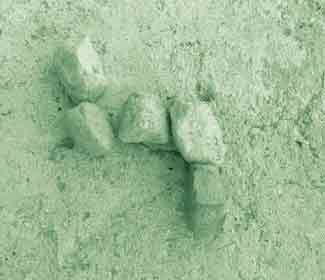 بازی های محلی