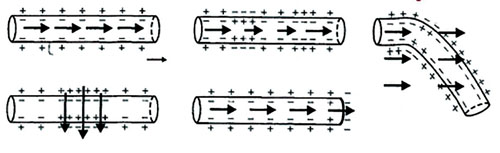 آکسون نورون‌ ها