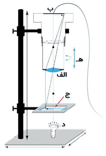 میکروسکوپ دیجیتال