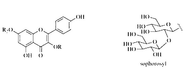 ترکیب‌های آلی ضد سرطان
