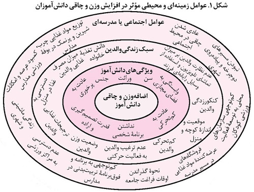 عوامل موثر در افزایش وزن و چاقی در دانش آموزان