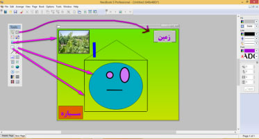 Professional Neobook