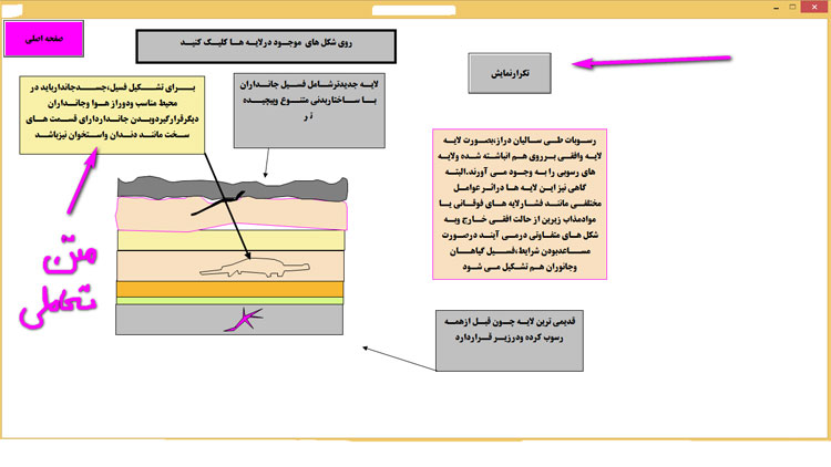 Professional Neobook