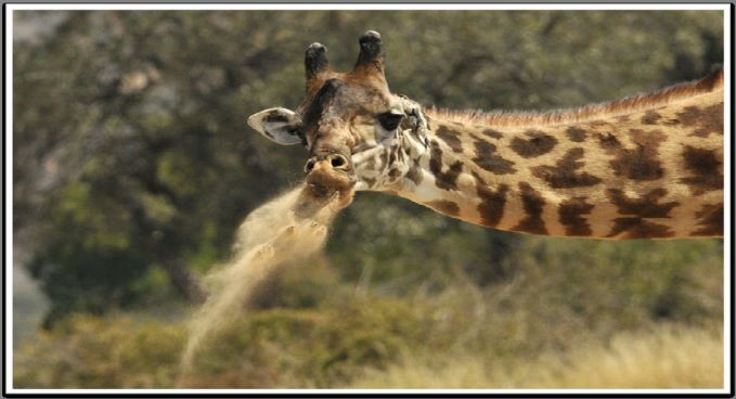 خاک‌ خواری