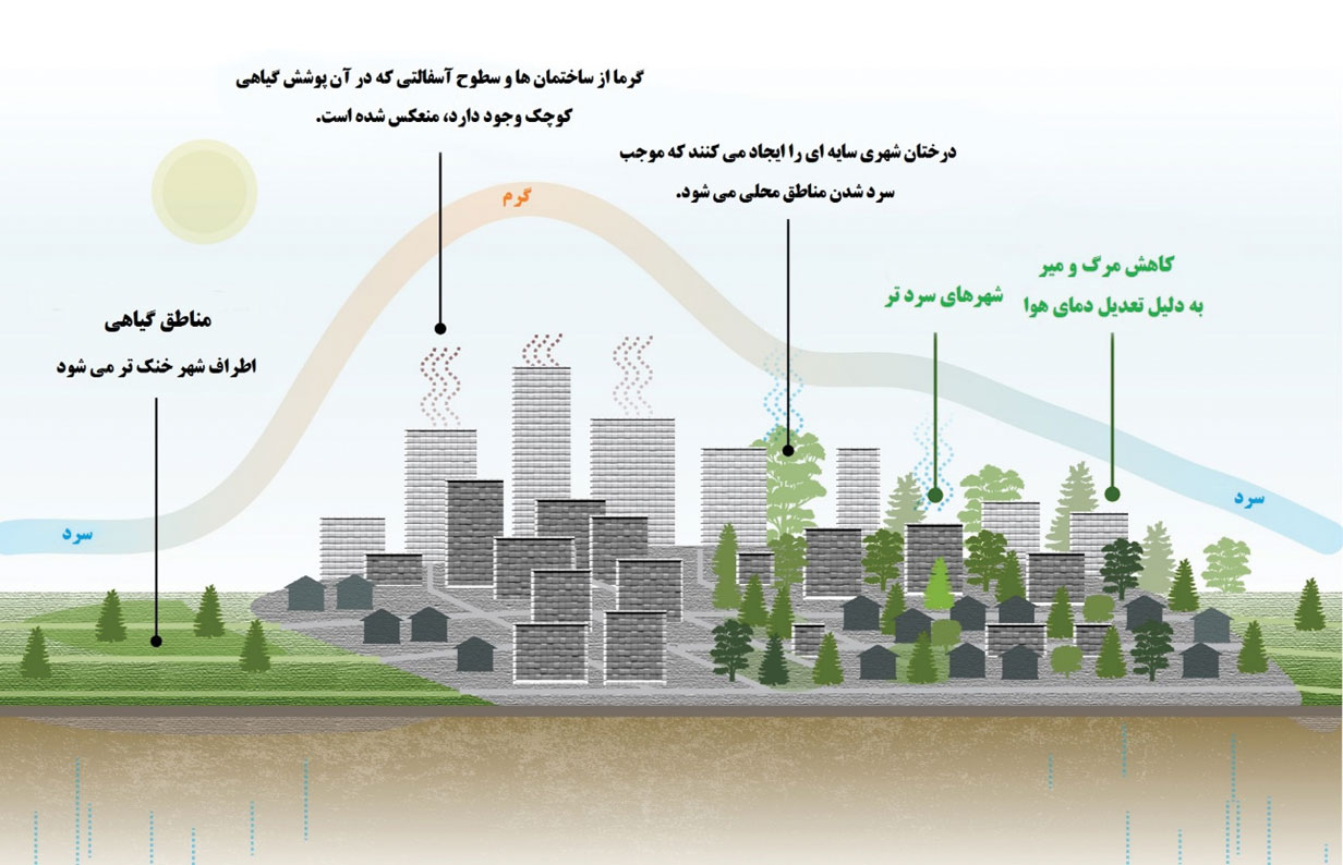 آسفالت و بتن در شهرها
