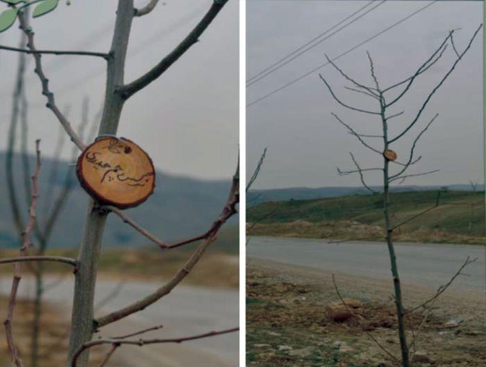 انجمن‌ های جغرافیایی