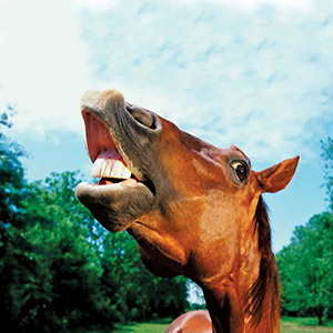 چه جوری غذا می خورم؟