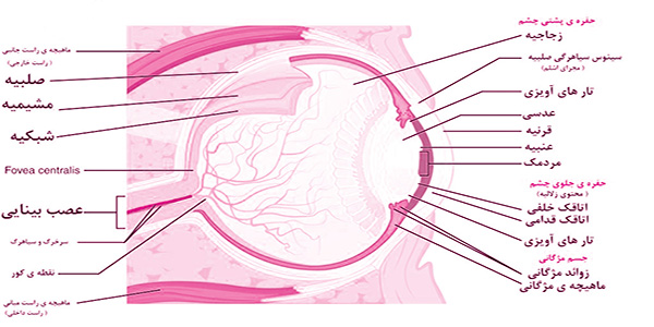 مراقبت و پیشگیری از عوارض چشمی در دانش آموزان