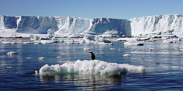 اخبار جغرافیایی