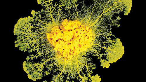 تازه های پژوهش در جهان فیزیک