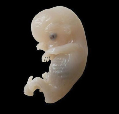 تازه های پژوهش در جهان فیزیک