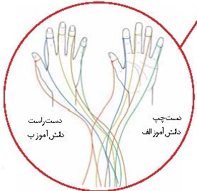 نمایش تقسیم سلولی میتوز