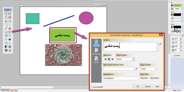 طراحی اجزای آموزشی معلم ساخته و تعاملی برای درس زیست شناسی