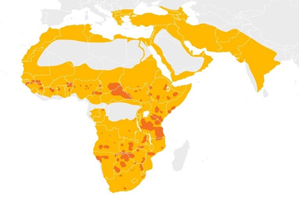 انقراض ششم تنوع زیستی، در سایه نقش ‌آفرینی بشر