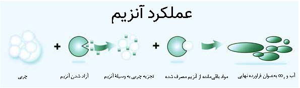 افزودنی های موجود در شوینده ها چه می‌کنند؟