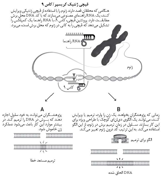 برندگان نوبل شیمی