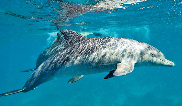 چه جوری می خوابم؟