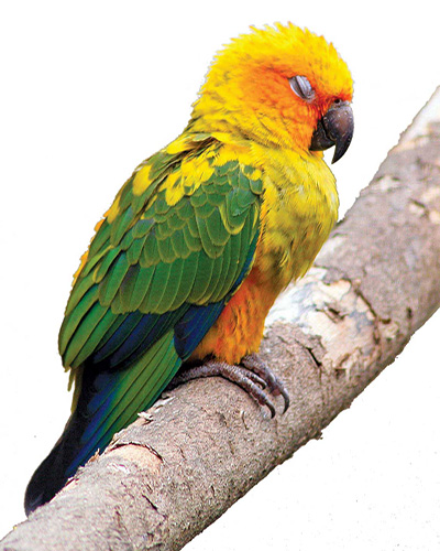 چه جوری می خوابم؟