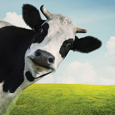 چه طوری صداها را می شنویم؟